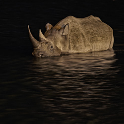 Etosha